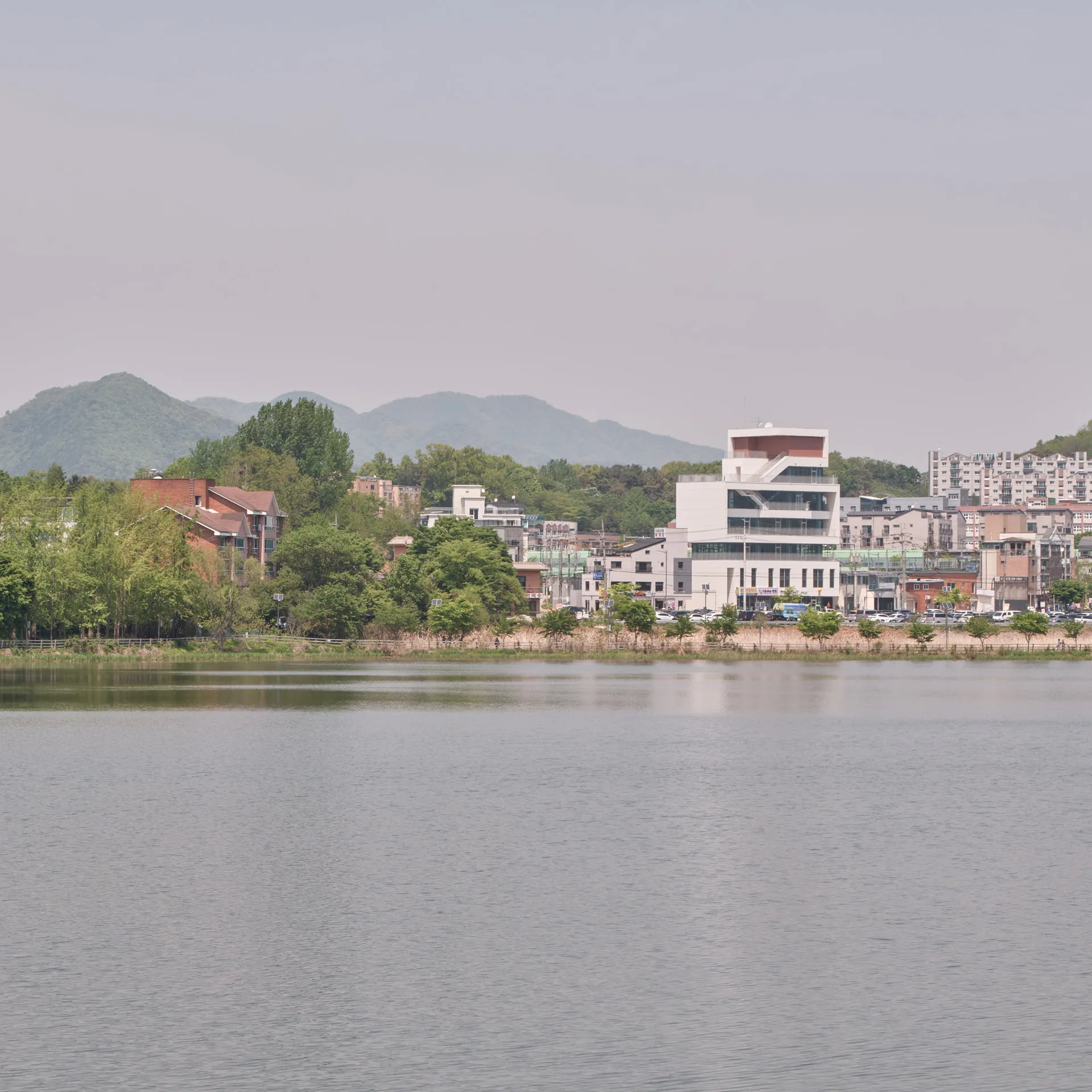 DSCF6886.webp